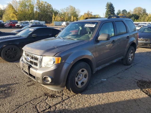 FORD ESCAPE XLT 2011 with VIN 1FMCU0DG7BKC05696 - Photo from auction