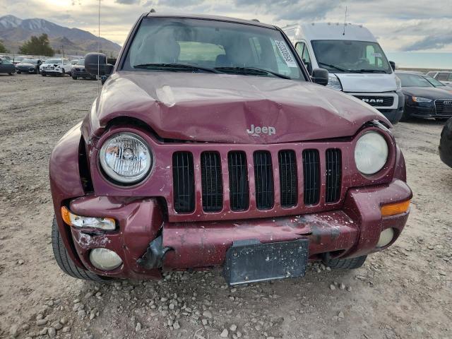 Photo 5 from auction – 2002 JEEP LIBERTY LI with VIN 1J8GL58K32W264976