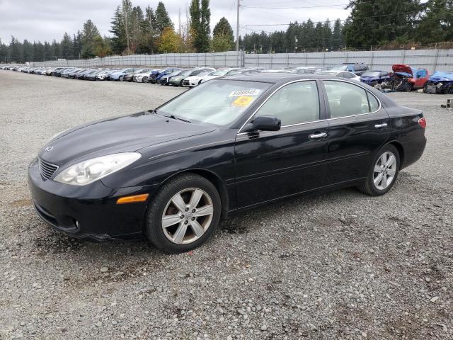 LEXUS ES 330 2005 with VIN JTHBA30G455120719 - Photo from auction