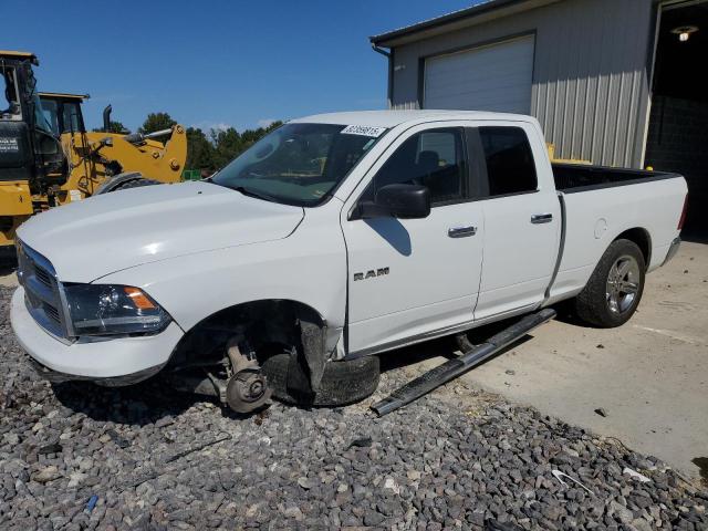 DODGE RAM 1500 2010 with VIN 1D7RB1GP9AS250441 - Photo from auction