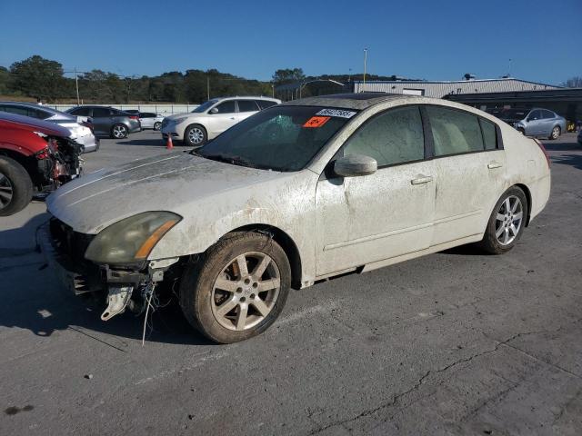 NISSAN MAXIMA 2006 with VIN 1N4BA41E86C856473 - Photo from auction