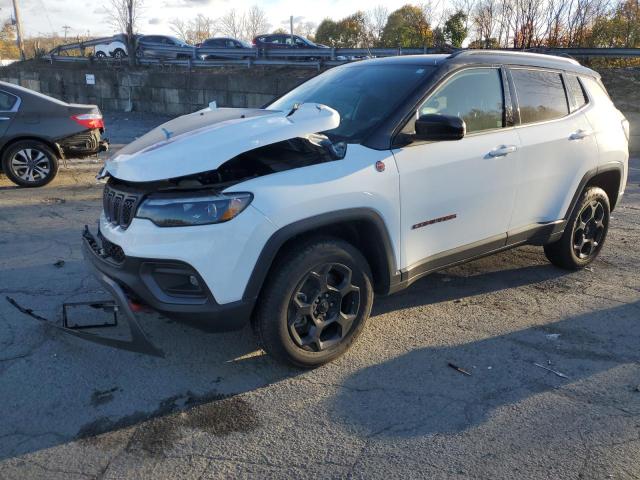 JEEP COMPASS TR 2023 with VIN 3C4NJDDN3PT520755 - Photo from auction
