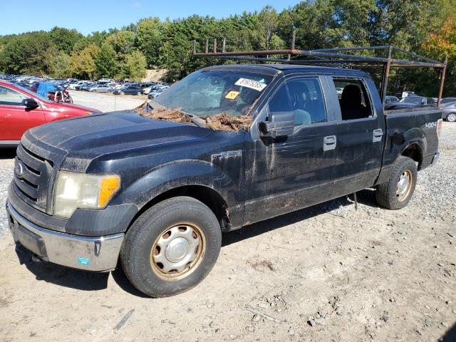 FORD F150 SUPER 2010 with VIN 1FTEW1E82AFD47482 - Photo from auction