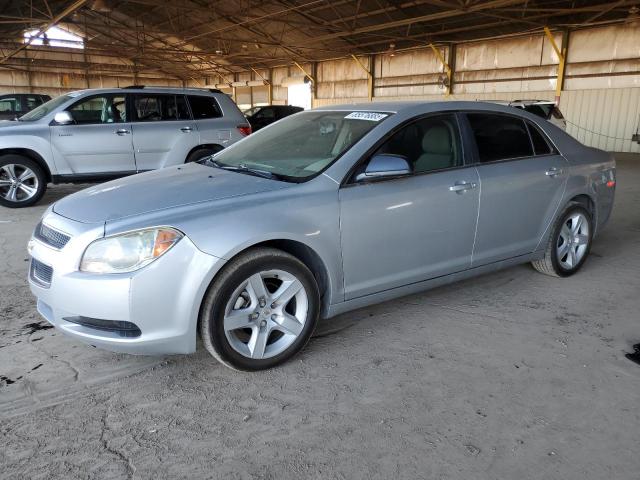 CHEVROLET MALIBU LS 2010 with VIN 1G1ZB5EB0AF288330 - Photo from auction