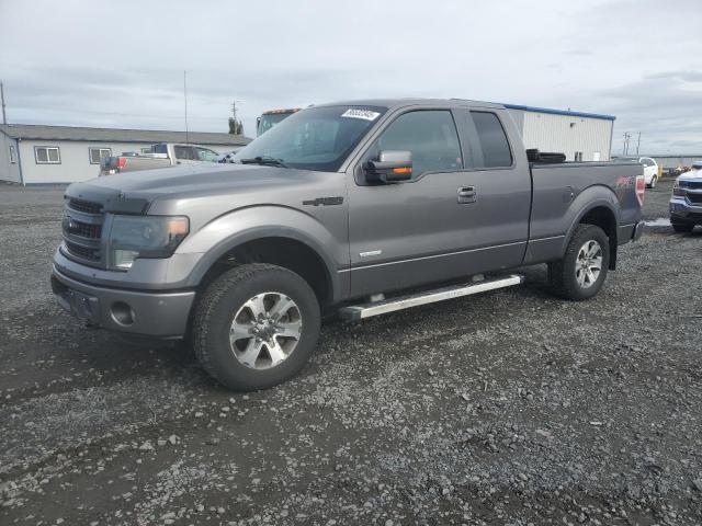 FORD F150 SUPER 2013 with VIN 1FTFX1ET4DKE79600 - Photo from auction