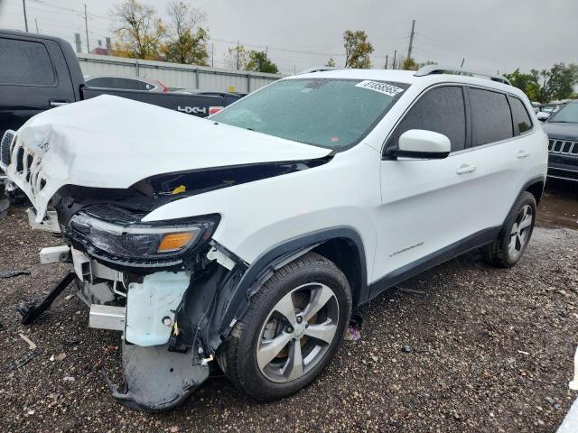JEEP CHEROKEE L 2020 with VIN 1C4PJMDX1LD559225 - Photo from auction