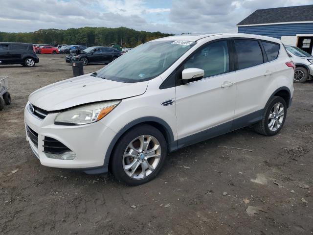 FORD ESCAPE SEL 2013 con VIN 1FMCU9H99DUC96042 - Foto de la subasta