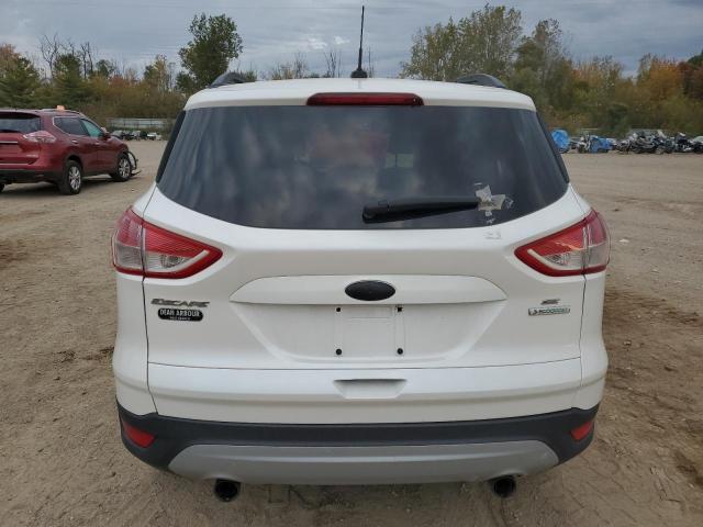 Photo 6 from auction – 2013 FORD ESCAPE SE with VIN 1FMCU0GX2DUC53626