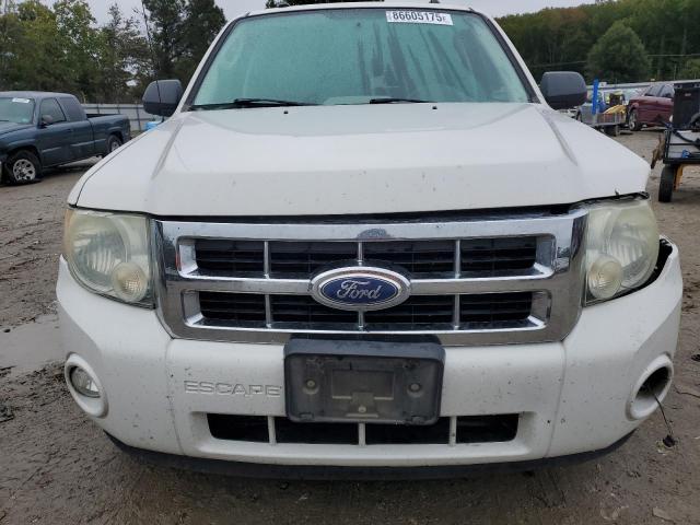 Photo 5 from auction – 2010 FORD ESCAPE XLT with VIN 1FMCU0D74AKC24348