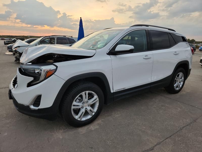 GMC TERRAIN SL 2020 with VIN 3GKALTEVXLL203457 - Photo from auction