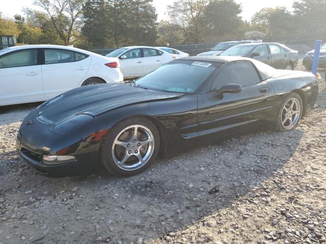 CHEVROLET CORVETTE 2002 with VIN 1G1YY22G825132309 - Photo from auction