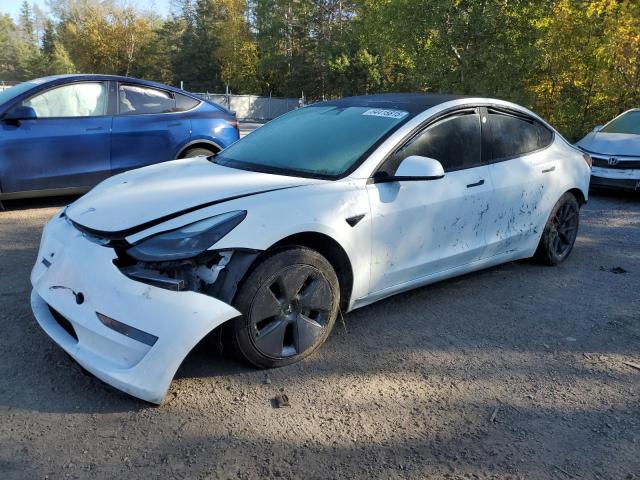 TESLA MODEL 3 2023 with VIN 5YJ3E1EA5PF480392 - Photo from auction