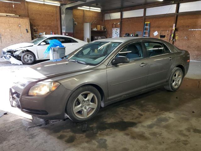 CHEVROLET MALIBU LS 2011 with VIN 1G1ZB5E12BF359567 - Photo from auction