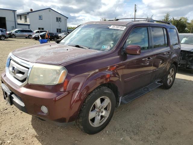 HONDA PILOT EXL 2009 with VIN 5FNYF48619B010634 - Photo from auction