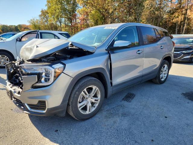 GMC TERRAIN SL 2023 with VIN 3GKALTEG9PL256710 - Photo from auction