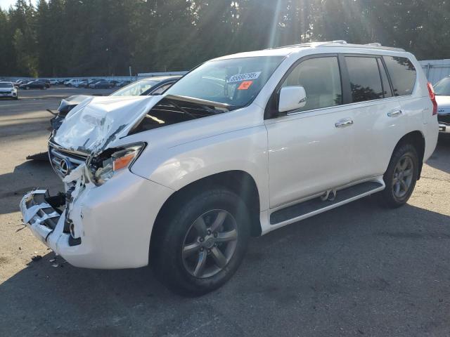 LEXUS GX 460 2010 with VIN JTJBM7FX3A5008167 - Photo from auction