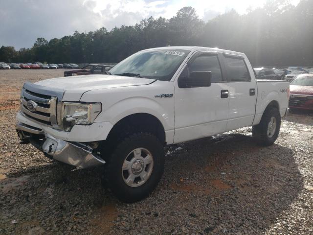 FORD F150 SUPERCREW 2010 with VIN 1FTFW1EV3AFB90765 - Photo from auction