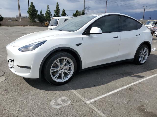 TESLA MODEL Y 2023 with VIN 7SAYGDEE8PF620698 - Photo from auction