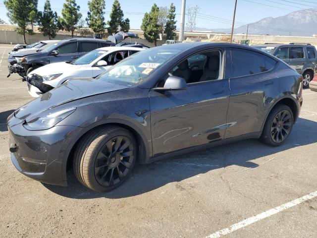 TESLA MODEL Y 2025 with VIN 7SAYGDED2SF218708 - Photo from auction