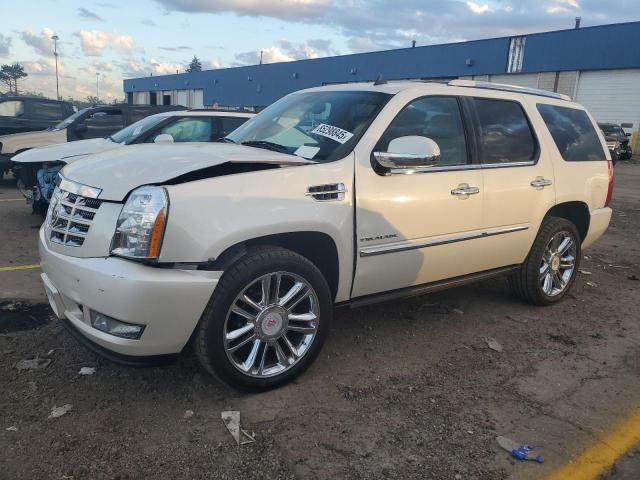 CADILLAC ESCALADE P 2011 with VIN 1GYS4CEF5BR261628 - Photo from auction