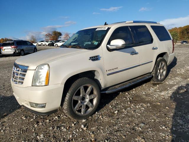 CADILLAC ESCALADE L 2007 with VIN 1GYFK63837R130637 - Photo from auction