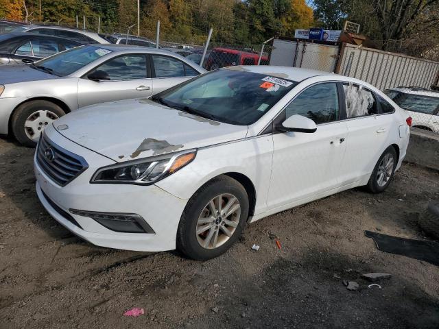 HYUNDAI SONATA SE 2015 with VIN 5NPE24AF4FH059090 - Photo from auction