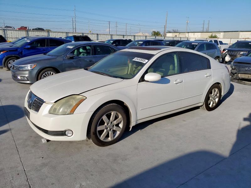 NISSAN MAXIMA SE 2006 with VIN 1N4BA41E56C837198 - Photo from auction