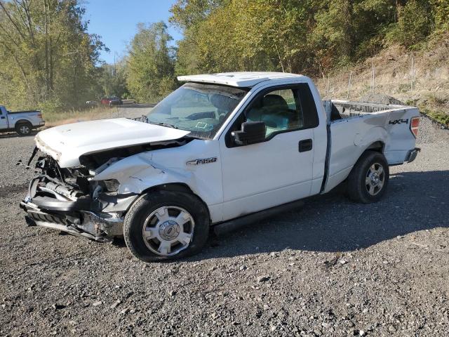 FORD F150 2014 with VIN 1FTMF1EM3EFA34925 - Photo from auction