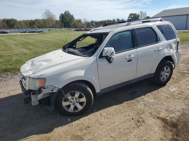 FORD ESCAPE LIM 2010 con VIN 1FMCU0EG1AKB80355 - Foto de la subasta