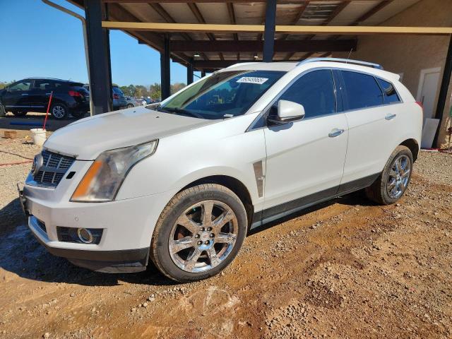 CADILLAC SRX PREMIU 2011 with VIN 3GYFNCEY5BS527789 - Photo from auction