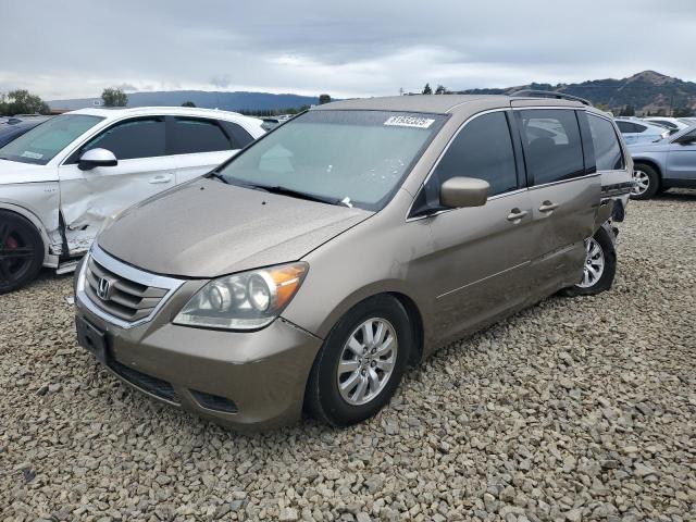 HONDA ODYSSEY EX 2009 with VIN 5FNRL38479B056989 - Photo from auction