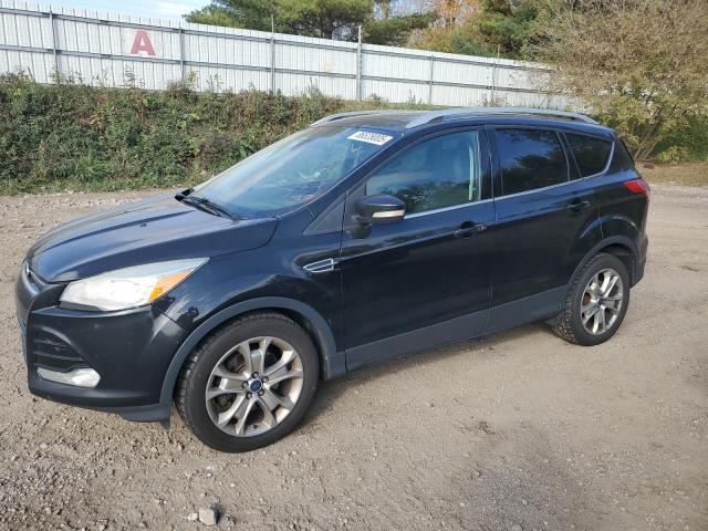 FORD ESCAPE TITANIUM 2014 with VIN 1FMCU0J96EUD19302 - Photo from auction