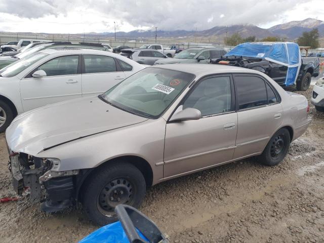 TOYOTA COROLLA CE 2001 with VIN 1NXBR12E31Z428096 - Photo from auction