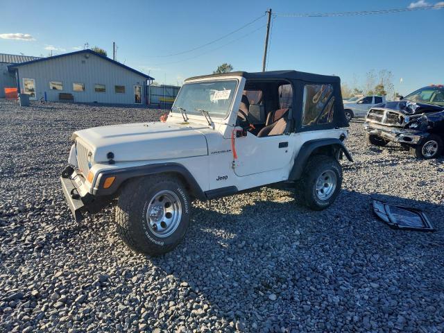 JEEP WRANGLER / 1999 with VIN 1J4FY29P3XP439266 - Photo from auction