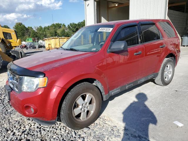 FORD ESCAPE XLS 2010 with VIN 1FMCU0C74AKC41376 - Photo from auction