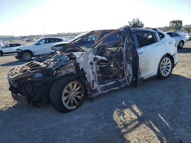 TESLA MODEL X 2019 with VIN 5YJXCDE22KF195269 - Photo from auction