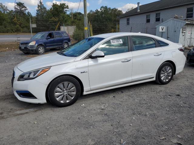 Photo 1 from auction – 2017 HYUNDAI SONATA HYB with VIN KMHE24L31HA074297