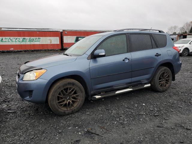 TOYOTA RAV4 2010 with VIN 2T3BF4DV5AW040219 - Photo from auction