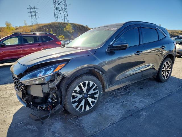 FORD ESCAPE SEL 2020 with VIN 1FMCU9H95LUC25192 - Photo from auction
