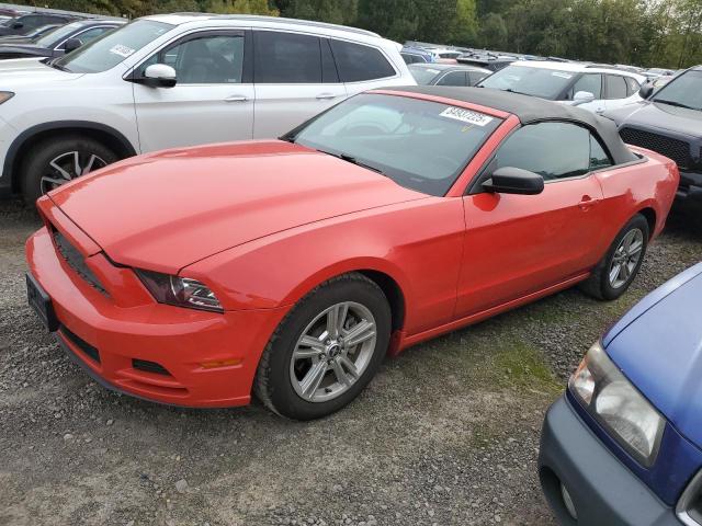 FORD MUSTANG 2013 with VIN 1ZVBP8EM6D5239282 - Photo from auction