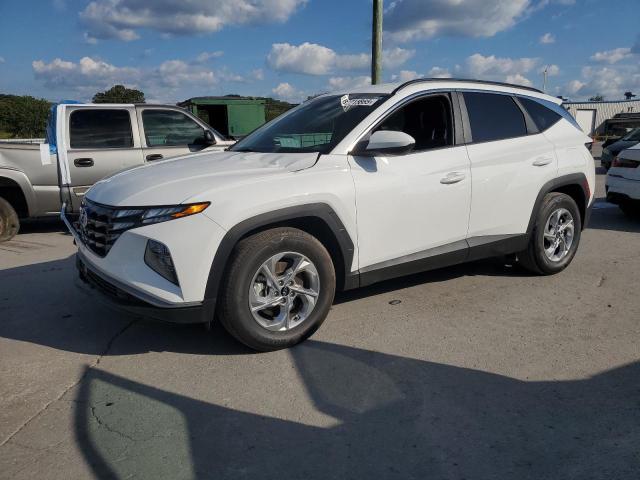 HYUNDAI TUCSON SEL 2024 with VIN 5NMJB3DE2RH397276 - Photo from auction