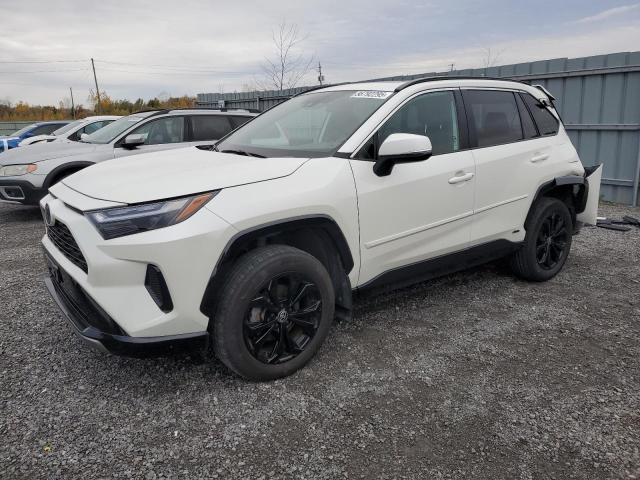 TOYOTA RAV4 SE 2022 with VIN 2T34WRFV0NW149079 - Photo from auction