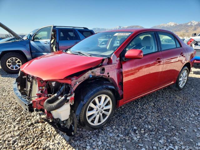 TOYOTA COROLLA BA 2009 с VIN JTDBL40E799040331 - Фото с аукциона