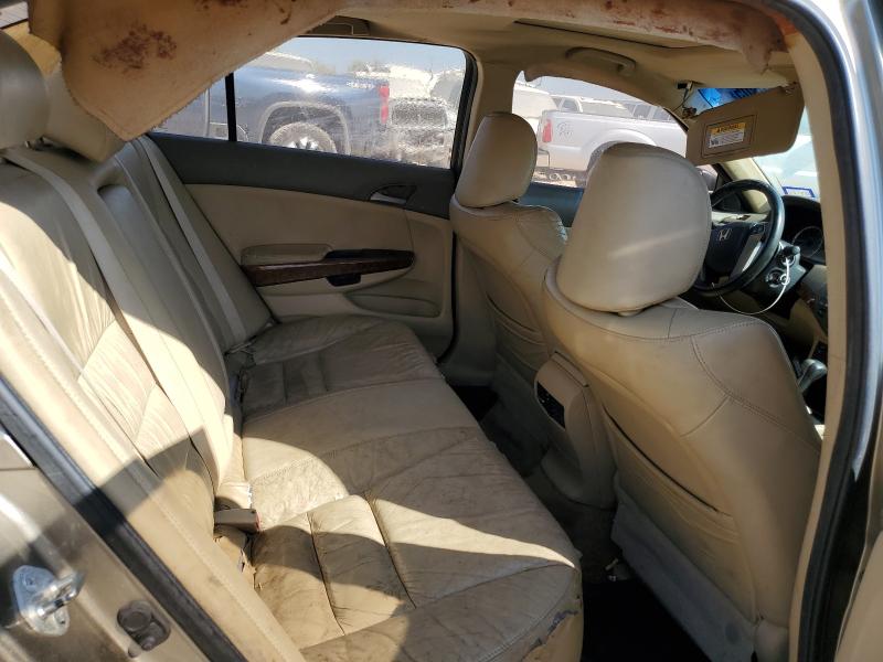 Photo 10 from auction – 2010 HONDA ACCORD EXL with VIN 5KBCP3F8XAB005508