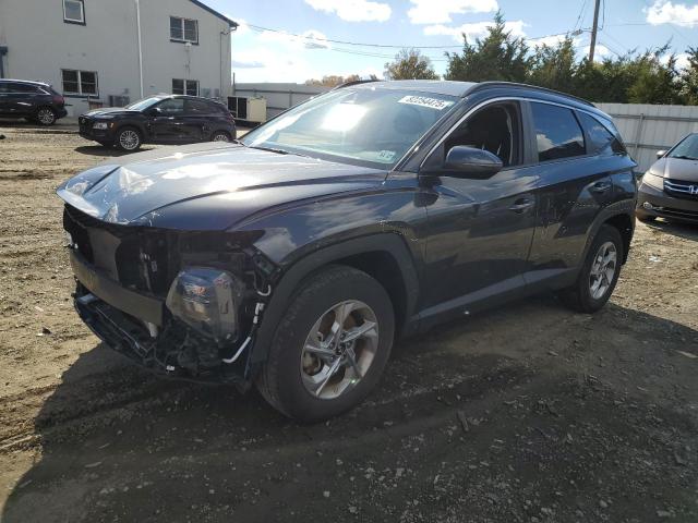 HYUNDAI TUCSON SEL 2023 with VIN 5NMJBCAE2PH190680 - Photo from auction