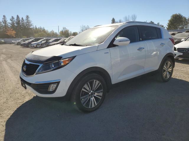 KIA SPORTAGE E 2016 with VIN KNDPCCAC4G7818588 - Photo from auction
