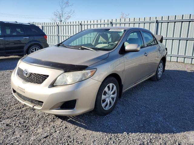 TOYOTA COROLLA BA 2010 مع رقم تعريف المركبة 2T1BU4EE2AC193588 - صورة من المزاد