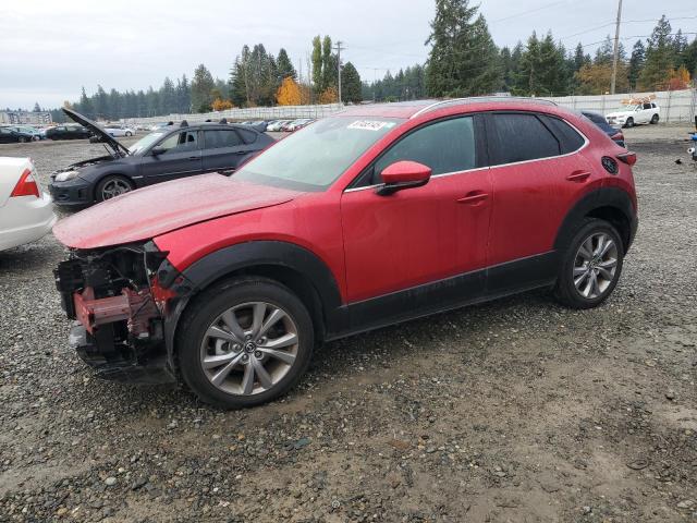 MAZDA CX-30 PREM 2023 with VIN 3MVDMBDM9PM521853 - Photo from auction