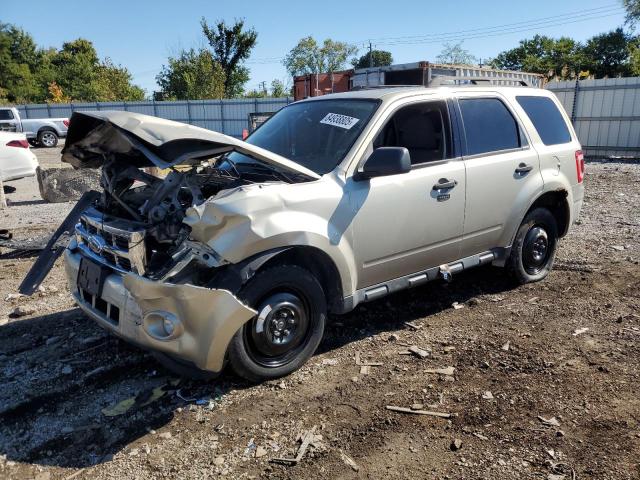 Photo 1 from auction – 2010 FORD ESCAPE XLT with VIN 1FMCU0DG0AKA42095