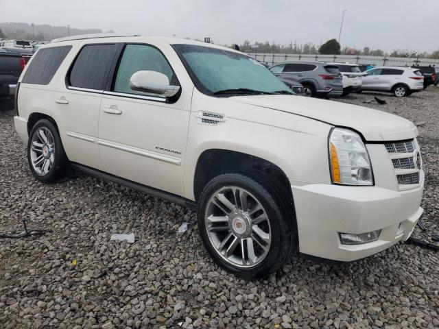 صورة رقم 4 من المزاد - 2013 CADILLAC ESCALADE P مع VIN 1GYS4CEF2DR125489